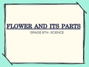 flower and its parts