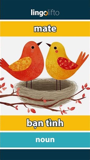 🇬🇧🇻🇳 mate - bạn tình : learn English : hãy học tiếng Anh : vocabulary builder