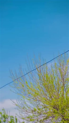 The Best Way to Eat Sushi