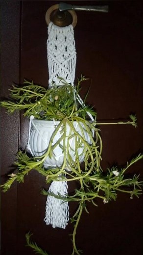 🥰 Easy Macramé Plant Hanger Tutorial | DIY Macramé Planter Step-by-Step---### ✨