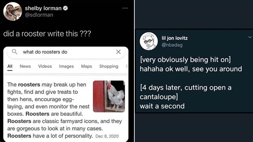 18 Internet Comments That Are Suspiciously Specific