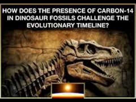 الكربون المشع وحفريات الديناصورات والجزء 17 من القسم التاسع الإنسان والديناصورات