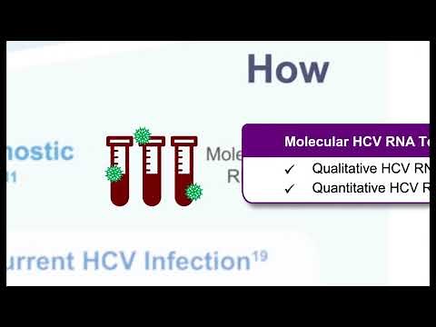 Hepatitis C Virus From Screening to Cure