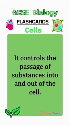 Cell biology revision flashcards GCSE #education #revision #combinedscience