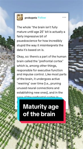 When Does the Brain Fully Mature? Understanding the Prefrontal Cortex Development