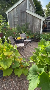 9.1K views · 889 reactions | Do you grow vegetables? If you don’t you...