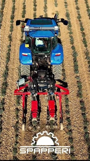 SPAPPERI - Recap 2025