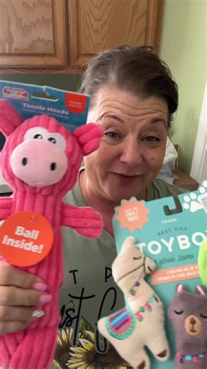 TJ Maxx Haul, how much 💰?? | The Lazy K Kitchen