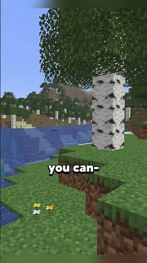 THE MAX SPEED İN MİNECRAFT İS INSANE! ⛏💎