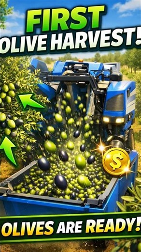 Olives Harvested! Mega Farm Progress 🚜 |#fs23 #gaming #fs23netflix #fs26 #simulation #farminggame