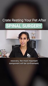 25 reactions · 11 shares | A herniated disc is actually the number...