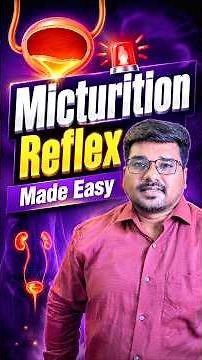 Micturition Explained Easily
