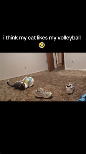 🏐🏐🏐
