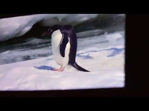 Disneynature Penguins Credits