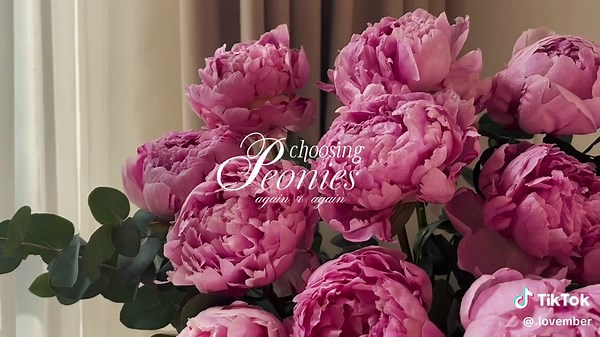 Peony Flower Care Tips for Flourishing Blooms
