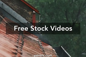 555+Green+Screen Videos, Download The BEST Free 4k Stock Video Footage & 555+Green+Screen HD Video Clips