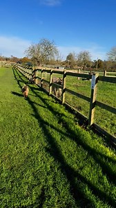 Easton Farm Park on Reels