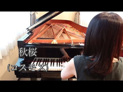 秋桜(コスモス)山口百恵（1977年）耳コピピアノアレンジ【めぐ先生】スタインウェイグランドピアノ