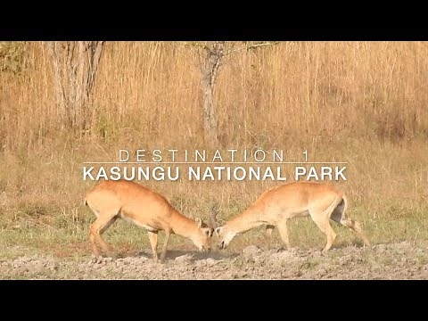 Exploring Malawi 2020 - Kasungu National Park