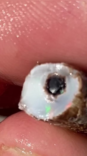 Found rare Black Opal in Nevada! #blackopal #opal #thatcampingcouple #fulltimetravel #gemmining #raregem