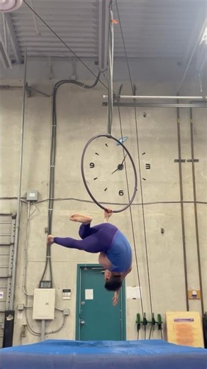 Dynamic Meat Hook Combo #aerialhoop #lyra #acrobatics #circus #primalfear