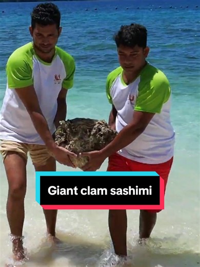 Discover the Delicacy of Giant Clam Sashimi