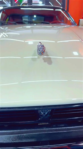 Nano Ceramic Coating and Polishing Techniques