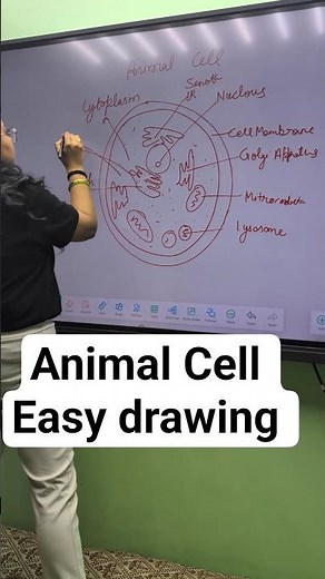 Animal Cell Easy Drawing 🔬🧫 | Step by Step Science Diagram for Students ✨ #shorts