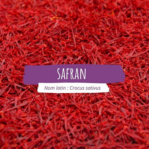Le safran et ses bienfaits