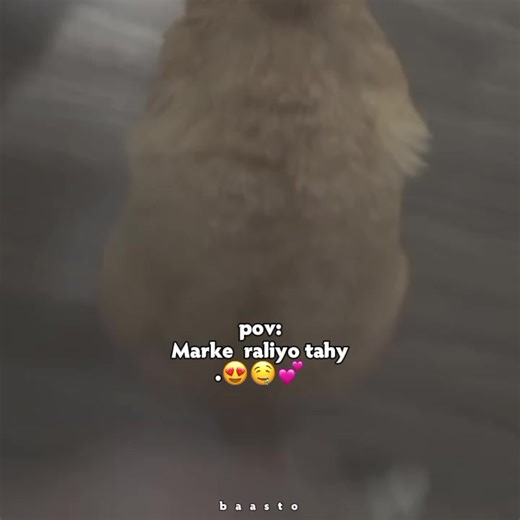 Career Advice for Girls: Love and Life Insights