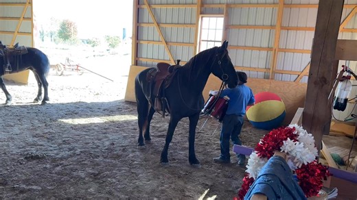 88 reactions · 5 comments | Training circus… | Linda A Yoder | Facebook