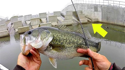 Secret Stash: Discovering a Spring Bass Paradise