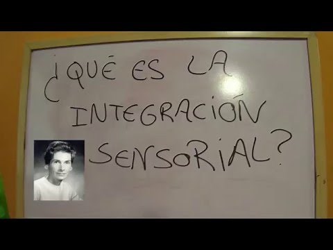 Integración Sensorial