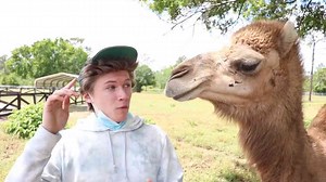 Facing My Biggest Fear... Florida Vlog