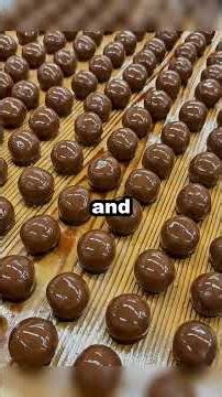 🎺 Smug Band Kid Tried to Humiliate Me Before Concert