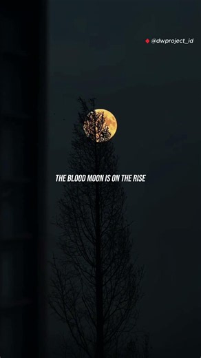 Alan Walker - On My Way | The blood moon is on the rise #song #lyrics #youtube #alanwalker #onmyway