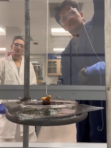 Exploding Goldfish: A Science Experiment Gone Wrong