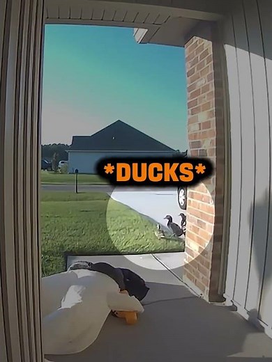ittle Girl Screams for Help—Mom Runs Outside and Can't Stop Laughing