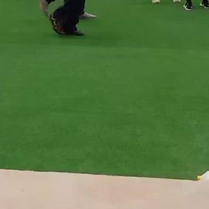 20K views · 289 reactions | Technicians set-up the Video Assistant Referee (VAR) monitor and equipment at the Moi International Sports Centre Kasarani, ahead of Kenya’s first tie vs DR Congo in the African Nations Championship. #CHAN2024. Video by Robert Abong’o | Standard Digital | Facebook