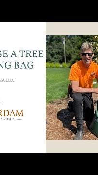 How to Use a Tree Watering Bag