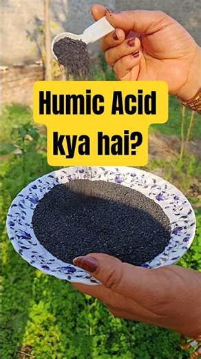 Benefits of humic acid | A key to boost plant growth #kitchengarden #organicgardening