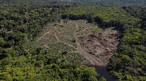 Abholzung im Amazonas auf Rekordhoch