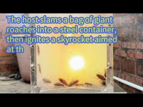 The host slams a bag of giant roaches into a steel container, then ignites a skyrocket aimed at th