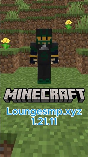 Minecraft but actually fun and relaxed #minecraft #smp