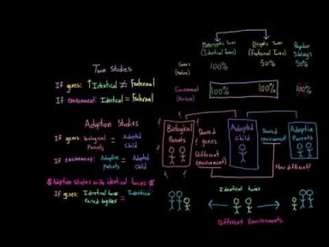 Introduction to Psychology: Twin studies and adoption studies