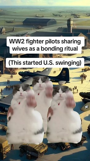 Weird and Crazy Facts About WW2: Simplified in Cat Terms. Part 2! #theyesterdaysaga #history #historymeme #cat #catmeme #ww2 #wwii