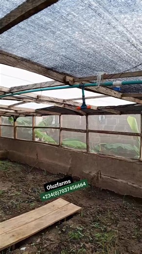 1.6K views | Snail farming, often considered a low-risk venture,...