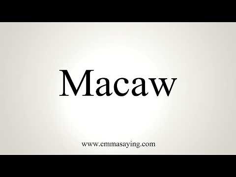 How To Pronounce Macaw