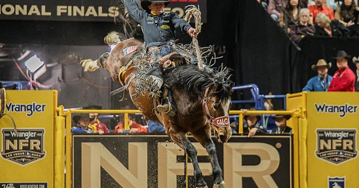 PRCA/WPRA pro rodeo standings through June 25