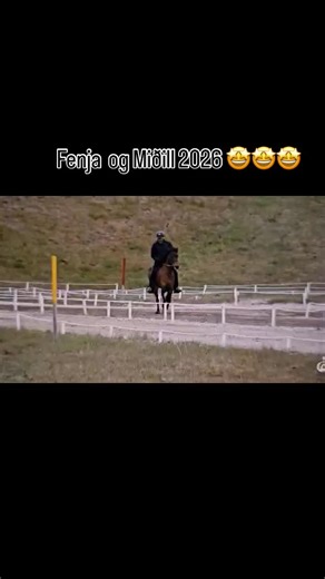 83 reactions | Hrafnagilshross on Reels | Facebook